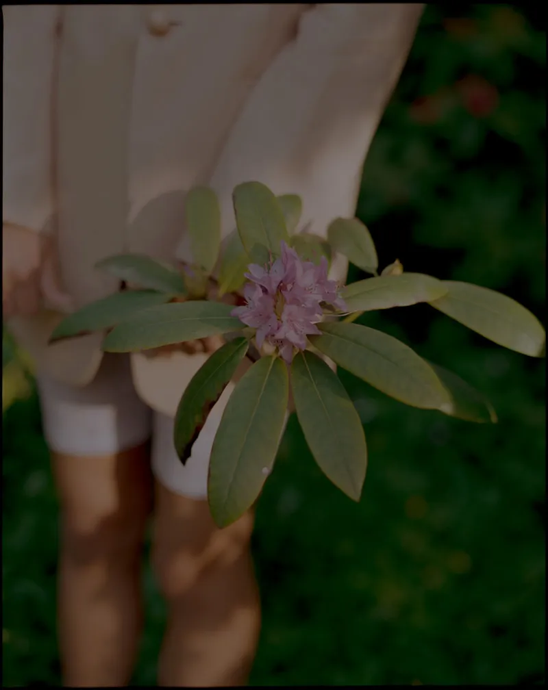 Model in a cream suit holding a pink rhododendron sprig at the waist, green garden behind